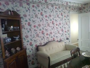 Papel Pintado